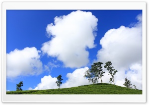 Cotton Clouds