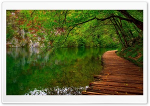 Nature River Wooden Path