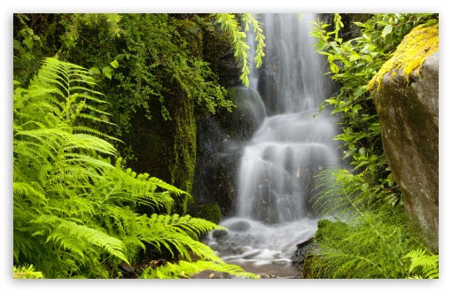 Download Waterfall, Kubota Garden, Seattle, Washington UltraHD Wallpaper