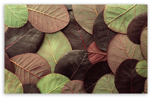 Download Leafy Pattern UltraHD Wallpaper