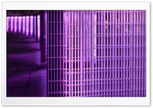 Purple Filter