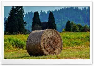Rolled Bales