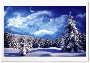 Moonlight Over Snowy Forest