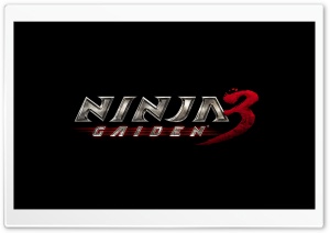 Ninja Gaiden 3 Video Game