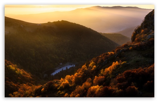 Download Vosges Mountains, Woodland, Autumn Colors UltraHD
