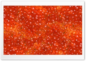 Salmon Caviar