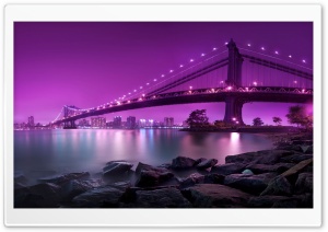 Bridge, Purple Light
