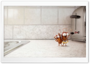 Funny Cute Cockroaches 3D