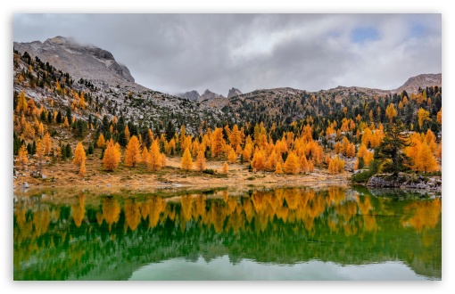 Download Mountain Green Lake, Orange Trees Reflection UltraHD Wallpaper
