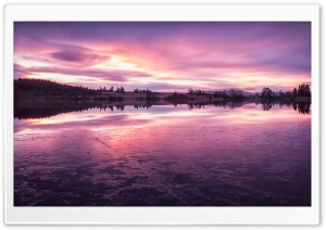 Purple Loch Rusky