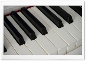 Piano Keyboard Close-up