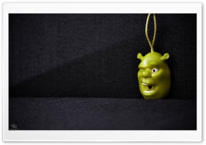 Shrek Key Holder