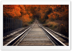 View From Railway Bridge Autumn