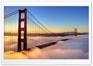 Golden Gate Bridge Enveloped...