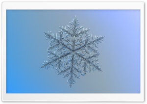 Beautiful Snowflake Magnified
