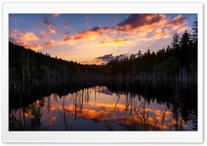 Mountain Landscape, Nature