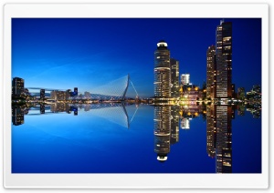 Rotterdam Skyline Night