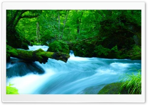 Oirase Mountain stream, Japan