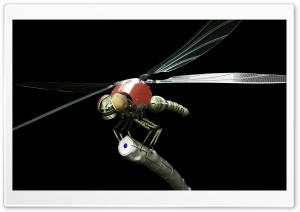 Dragonfly Robot 3D