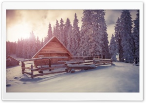 Winter Wooden Houses Under Snow