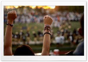 Cheering Fan