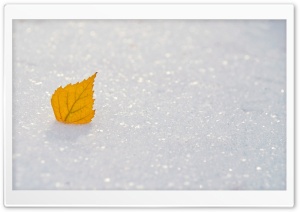 Yellow Leaf, Winter