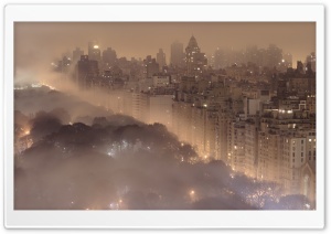 New York Fog