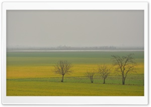 Hungarian Spring