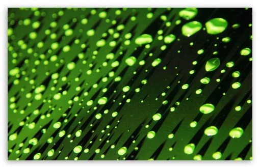 Download Green Water Droplets UltraHD Wallpaper