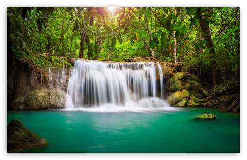 Download Rainforest Waterfall UltraHD Wallpaper