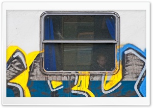 Child In A Graffiti Train