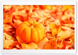 Pumpkin And Autumn Leaves