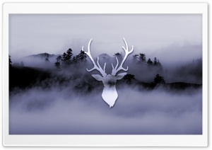 Misty Deer