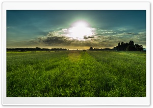 Dutch Summer Sky