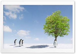 Penguins Group in Antarctica