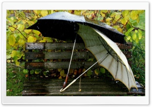 Umbrellas On The Bench