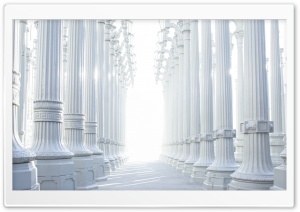 White Columns
