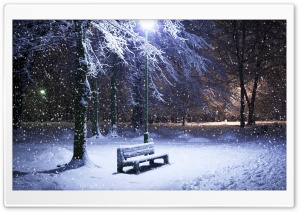 Lone Bench Covered In Snow