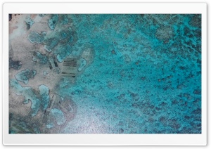 Coral Reef From Above