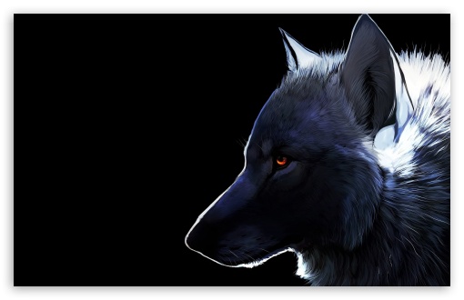 Download Wolf UltraHD Wallpaper
