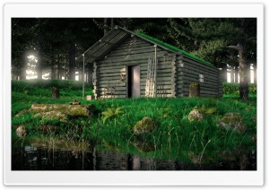 Wood Cabin In The Woods 3D