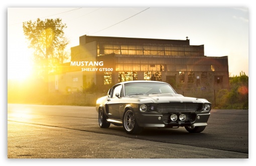 Download Mustang Shelby GT500 UltraHD Wallpaper