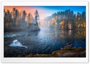 Autumn, Scenery, River, Trees