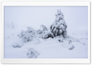 Mountain Landscape, Nature