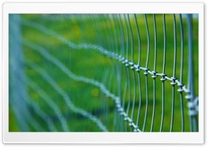 Ranch Fence