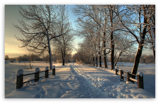 Download Snowy Country Road UltraHD Wallpaper