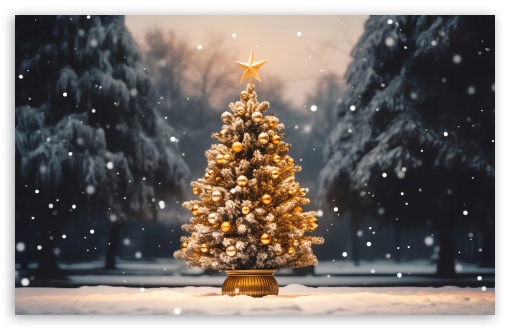 Download Christmas Eve, Christmas Tree in the Park UltraHD Wallpaper