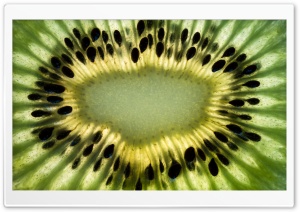 Green Kiwi Slice, Seeds, Macro