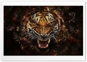 Tiger Backgrounds