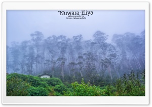 Nuwara-Eliya - Sri Lanka